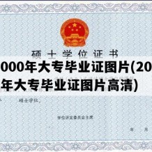 2000年大专毕业证图片(2000年大专毕业证图片高清)