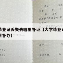 大学毕业证丢失去哪里补证（大学毕业证丢了在哪里补办）