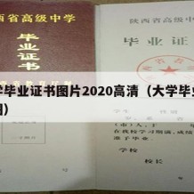 大学毕业证书图片2020高清（大学毕业证原图）