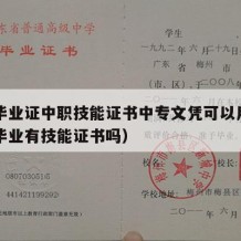 中专毕业证中职技能证书中专文凭可以用吗（中专毕业有技能证书吗）