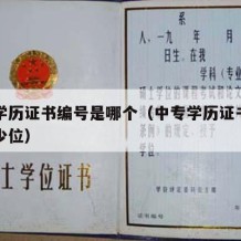 中专学历证书编号是哪个（中专学历证书编号是多少位）