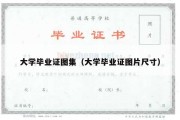 大学毕业证图集（大学毕业证图片尺寸）