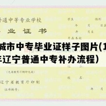 兴城市中专毕业证样子图片(1991年辽宁普通中专补办流程）