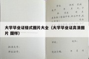 大学毕业证格式图片大全（大学毕业证高清图片 图样）