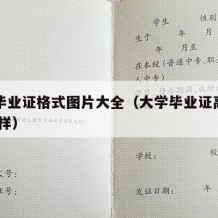 大学毕业证格式图片大全（大学毕业证高清图片 图样）