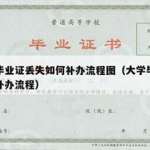 大学毕业证丢失如何补办流程图（大学毕业证丢了补办流程）