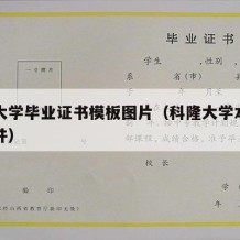 科隆大学毕业证书模板图片（科隆大学本科申请条件）