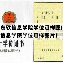 大连东软信息学院学位证样图(大连东软信息学院学位证样图片)