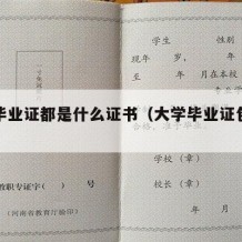 大学毕业证都是什么证书（大学毕业证包括什么）