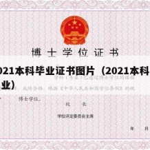 2021本科毕业证书图片（2021本科生毕业）