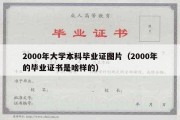 2000年大学本科毕业证图片（2000年的毕业证书是啥样的）