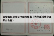 大学本科毕业证书图片样本（大学本科毕业证长什么样）