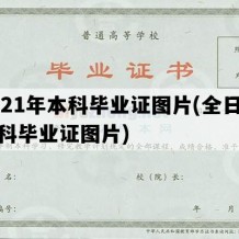 2021年本科毕业证图片(全日制本科毕业证图片)