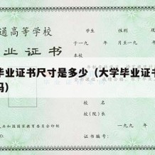 大学毕业证书尺寸是多少（大学毕业证书尺寸统一吗）