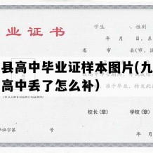 阳高县高中毕业证样本图片(九十年代老高中丢了怎么补）