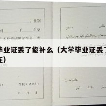 大学毕业证丢了能补么（大学毕业证丢了能补么现在）