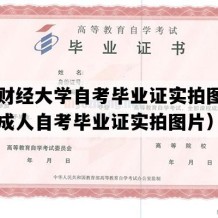 山东财经大学自考毕业证实拍图片（山东成人自考毕业证实拍图片）