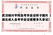 武汉晴川学院自考毕业证样子图片（湖北成人自考毕业证需要多久拿证）