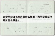 大学毕业证书照片是什么样的（大学毕业证书照片什么颜色）