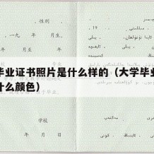 大学毕业证书照片是什么样的（大学毕业证书照片什么颜色）