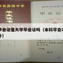 本科毕业证是大学毕业证吗（本科毕业证丢了怎么补）