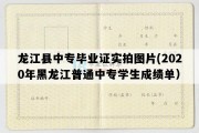 龙江县中专毕业证实拍图片(2020年黑龙江普通中专学生成绩单）