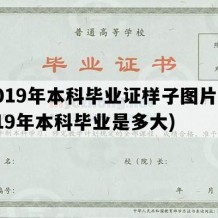 2019年本科毕业证样子图片(2019年本科毕业是多大)