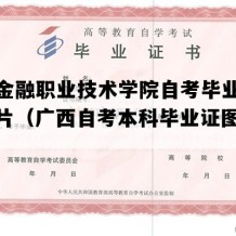 广西金融职业技术学院自考毕业证实拍图片（广西自考本科毕业证图片模板）