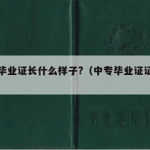 中专毕业证长什么样子?（中专毕业证证书样本）