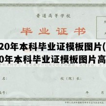 2020年本科毕业证模板图片(2020年本科毕业证模板图片高清)