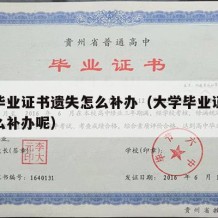 大学毕业证书遗失怎么补办（大学毕业证书遗失怎么补办呢）