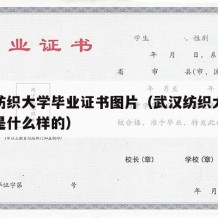 武汉纺织大学毕业证书图片（武汉纺织大学毕业证是什么样的）