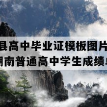 平江县高中毕业证模板图片(1997年湖南普通高中学生成绩单）