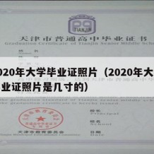 2020年大学毕业证照片（2020年大学毕业证照片是几寸的）