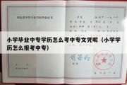 小学毕业中专学历怎么考中专文凭呢（小学学历怎么报考中专）