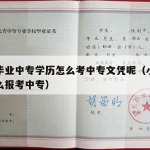 小学毕业中专学历怎么考中专文凭呢（小学学历怎么报考中专）