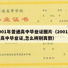 2001年普通高中毕业证图片（2001年的高中毕业证,怎么辨别真假）