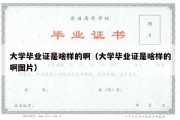 大学毕业证是啥样的啊（大学毕业证是啥样的啊图片）