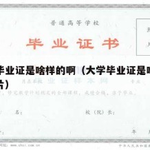 大学毕业证是啥样的啊（大学毕业证是啥样的啊图片）