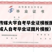 中国传媒大学自考毕业证模板图片（北京成人自考毕业证图片模板）