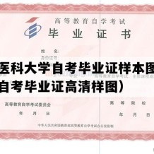 广东医科大学自考毕业证样本图片（广东自考毕业证高清样图）