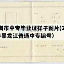 鹤岗市中专毕业证样子图片(2005年黑龙江普通中专编号）