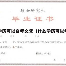 什么学历可以自考文凭（什么学历可以考自考本科）