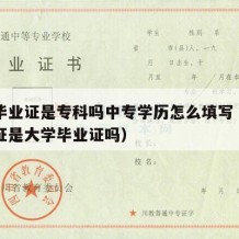 中专毕业证是专科吗中专学历怎么填写（中专毕业证是大学毕业证吗）