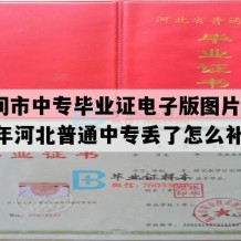 河间市中专毕业证电子版图片(1990年河北普通中专丢了怎么补）