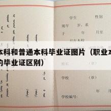 职业本科和普通本科毕业证图片（职业本科与本科的毕业证区别）