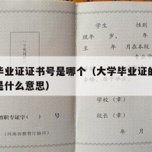 大学毕业证证书号是哪个（大学毕业证的证书编号是什么意思）