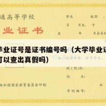 大学毕业证号是证书编号吗（大学毕业证证书编号可以查出真假吗）