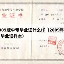 2009版中专毕业证什么样（2009年中专毕业证样本）