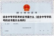 适合中专学历考的证书是什么（适合中专学历考的证书是什么样的）